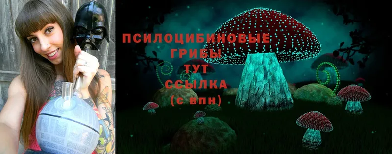 Псилоцибиновые грибы MAGIC MUSHROOMS  Белоярский 